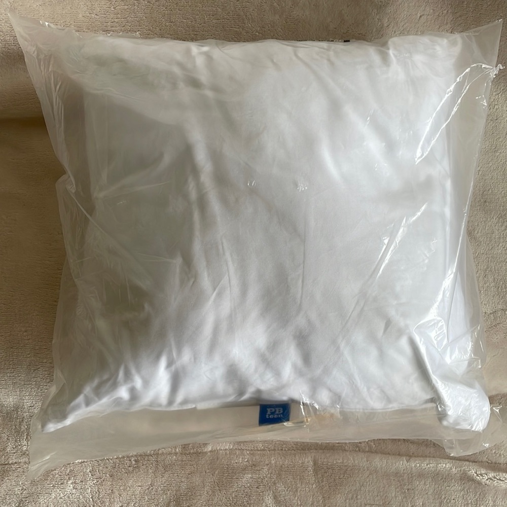 PBTeen white pillow insert